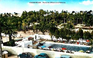 Colomb-Bechar - Piscine des Officiers et la Palmeraie